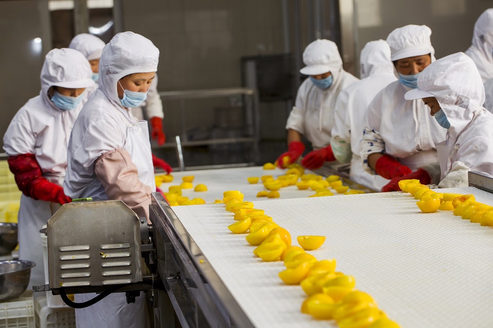 情系三农 造福一方—记省,市人大代表,临沂奇伟罐头食品有限公司董事